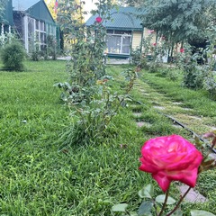 Эко-отель Фамилия, Астраханская область