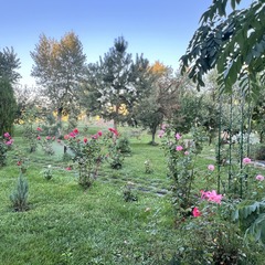 Эко-отель Фамилия, Астраханская область