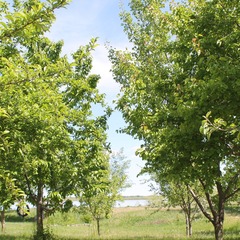 Эко-отель Фамилия, Астраханская область