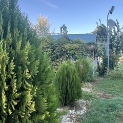 Эко-отель Фамилия, Астраханская область