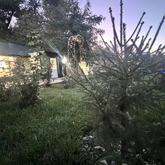 Эко-отель Фамилия, Астраханская область