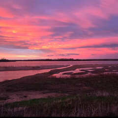 Эко-отель Фамилия, Астраханская область