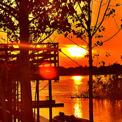 Эко-отель Фамилия, Астраханская область