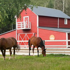 Глэмпинг А-Ферма, Московская область