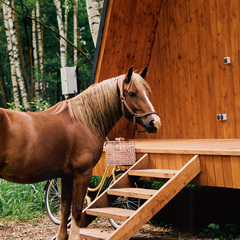 Глэмпинг А-Ферма, Московская область