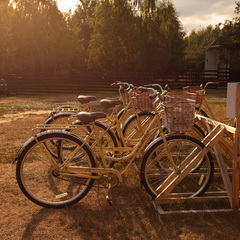 Глэмпинг А-Ферма, Московская область
