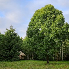 Агроусадьба Лисья Дача, Ленинградская область