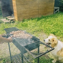 Агроусадьба Лисья Дача, Ленинградская область