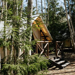 Агроусадьба Лисья Дача, Ленинградская область