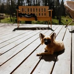 Агроусадьба Лисья Дача, Ленинградская область