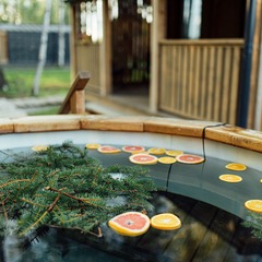 Глэмпинг Bazabanya, Московская область