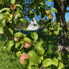 Кемпинг  ДесЛес, Смоленская область