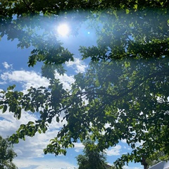 Кемпинг  ДесЛес, Смоленская область