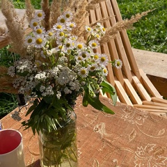 Кемпинг  ДесЛес, Смоленская область