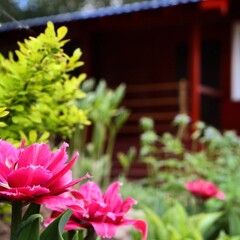 Спортивно-туристический комплекс Малиновка, Архангельская область