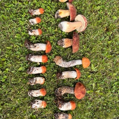 Спортивно-туристический комплекс Малиновка, Архангельская область