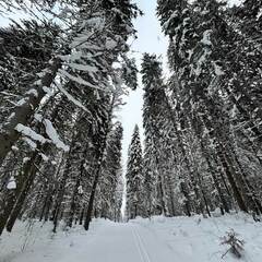 Спортивно-туристический комплекс Малиновка, Архангельская область