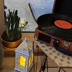 Глэмпинг Наш Шалаш, Московская область