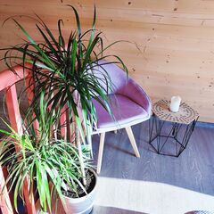 Глэмпинг Наш Шалаш, Московская область