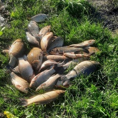 Загородный клуб Точка, Орловская область