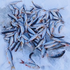 Загородный клуб Точка, Орловская область