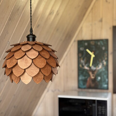 Загородный отель Саянский Марал, Республика Бурятия