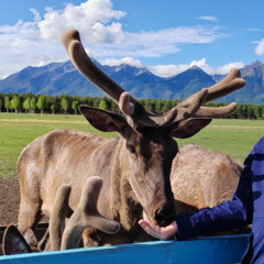 Загородный отель Саянский Марал, Республика Бурятия