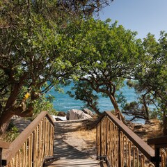 Глэмпинг Тропы Батилиман, Севастополь, Крым