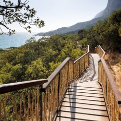 Глэмпинг Тропы Батилиман, Севастополь, Крым