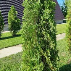 База отдыха Лазурная, Астраханская область