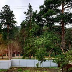 Гостевой дом Берингия, Республика Алтай