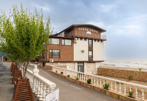 Белый медведь — фото 1