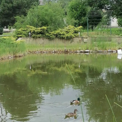 Гостиница Рай у пруда, Волгоградская область