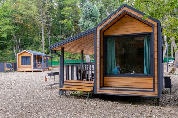 Шелест — фото 2