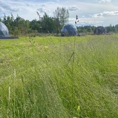 Глэмпинг Family Sup & Glamping, Ленинградская область