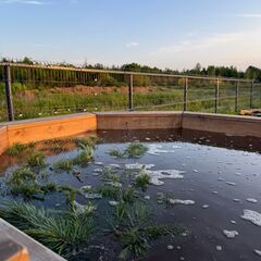 Глэмпинг Family Sup & Glamping, Ленинградская область