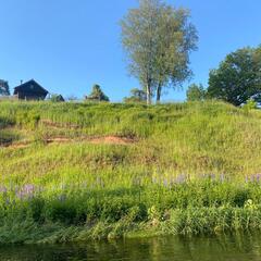 Глэмпинг Family Sup & Glamping, Ленинградская область