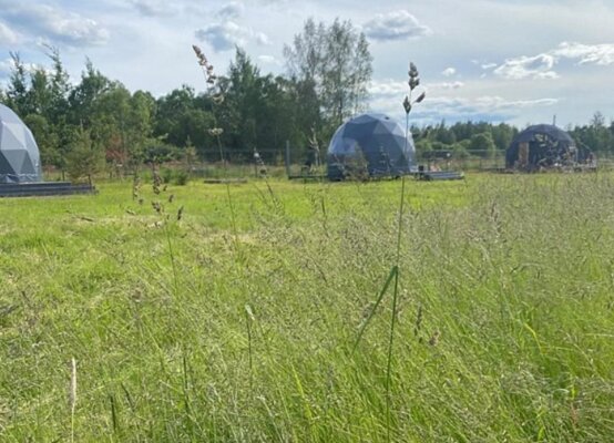 Family Sup & Glamping — фото 5