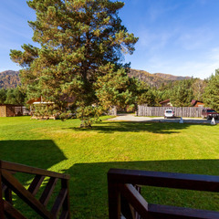 База отдыха GreenWood, Республика Алтай