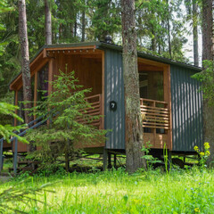 Дом Пихта, Ленинградская область