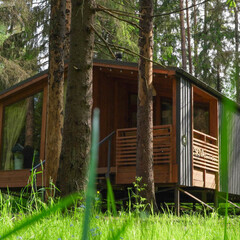 Дом Пихта, Ленинградская область