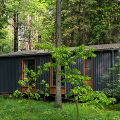 Дом Пихта, Ленинградская область