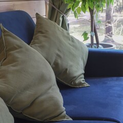 Дом Пихта, Ленинградская область