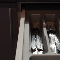 Дом Пихта, Ленинградская область