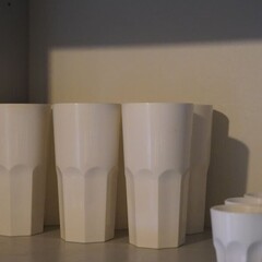 Дом Пихта, Ленинградская область