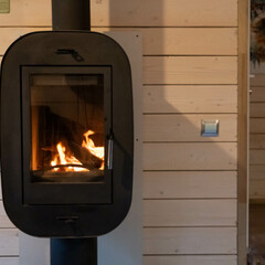 Дом Пихта, Ленинградская область