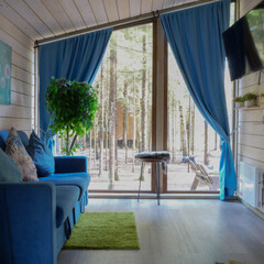 Дом Пихта, Ленинградская область