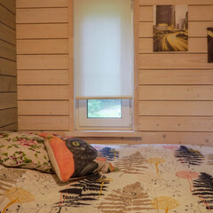 Дом Пихта, Ленинградская область