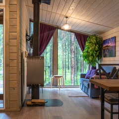 Дом Пихта, Ленинградская область