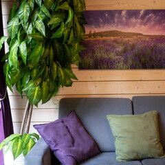 Дом Пихта, Ленинградская область